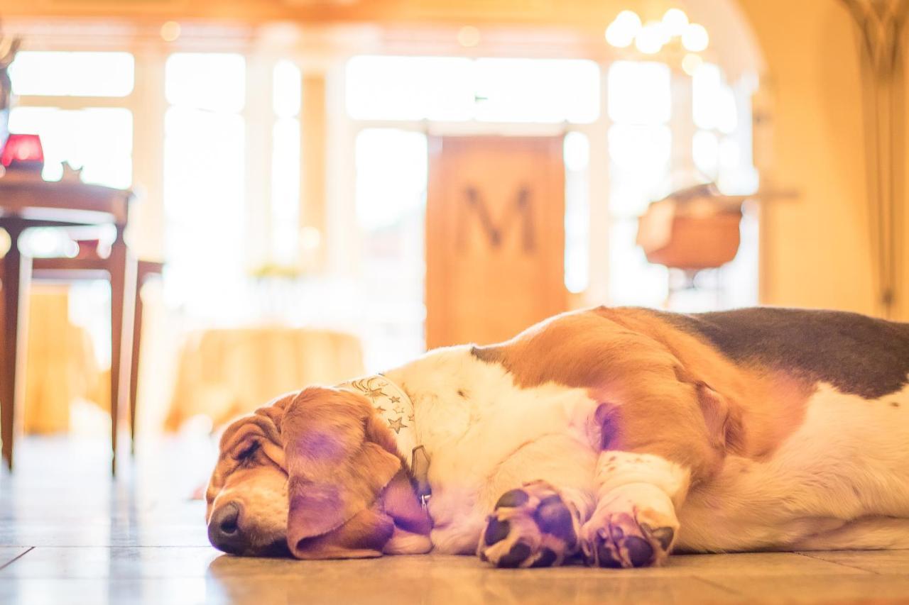 Hotel Magdalena Im Zillertal - Urlaub Mit Hund Ried im Zillertal Eksteriør bilde